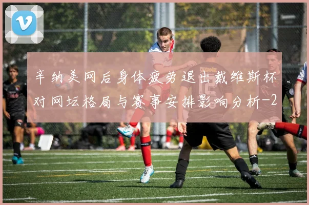 辛纳美网后身体疲劳退出戴维斯杯对网坛格局与赛事安排影响分析