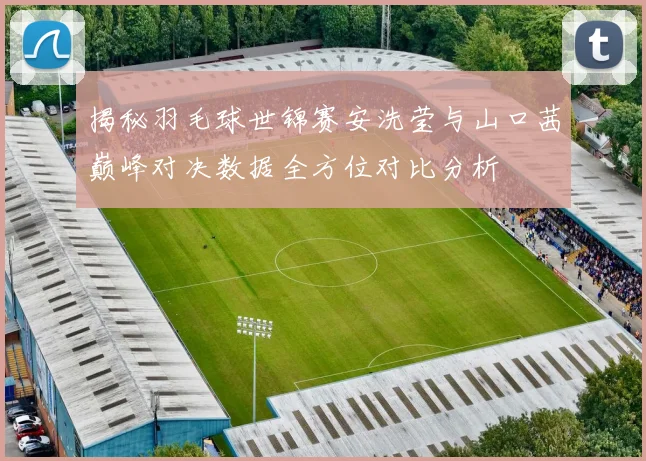 揭秘羽毛球世锦赛安洗莹与山口茜巅峰对决数据全方位对比分析
