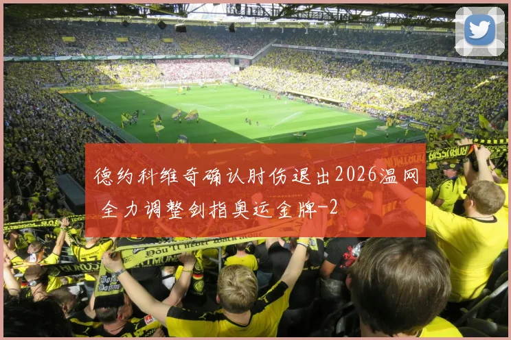 德约科维奇确认肘伤退出2026温网 全力调整剑指奥运金牌